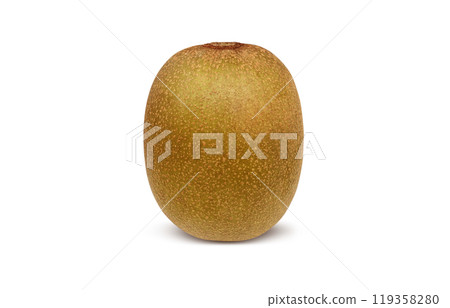 金色奇異果插畫寫實 金色奇異果插畫寫實 119358280