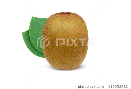 金色奇異果插畫寫實 119358282