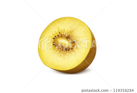 金色奇異果插畫寫實 119358284