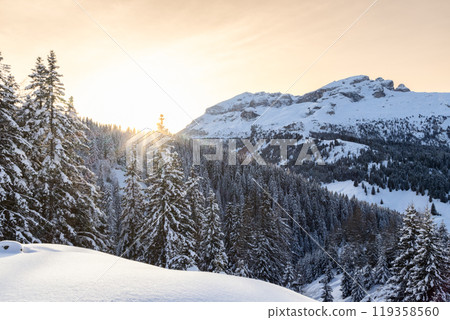Winter sunset illuminates snow-covered Dolomite forest with soft light enhancing the peaceful scene 119358560