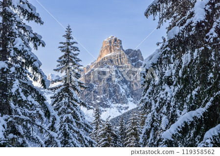 Snowy fir trees frame the rugged Sassongher Mountain in the Dolomites creating a striking contrast Snowy fir trees frame the rugged Sassongher Mountain in the Dolomites creating a striking contrast 119358562