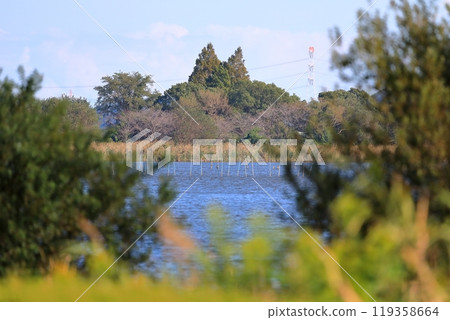 手賀沼湖風景（千葉縣） 119358664