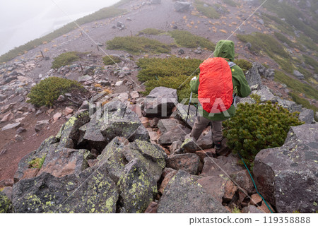 Climbing in the rain 119358888