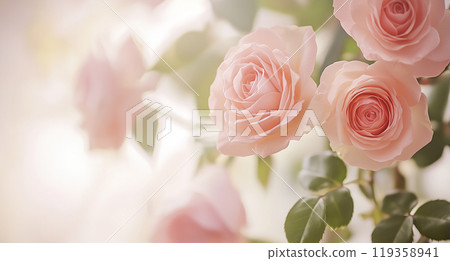 rose	 119358941