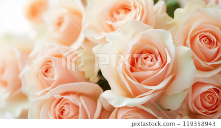 rose	 119358943