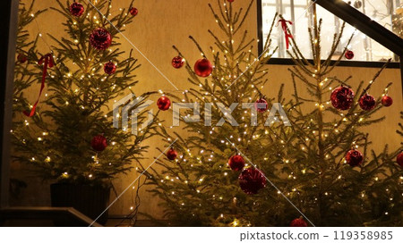 group of fir trees in pots, painted with garlands and red balls, against the background of brown walls and a window, New Year and Christmas holiday decor with live small Christmas trees 119358985