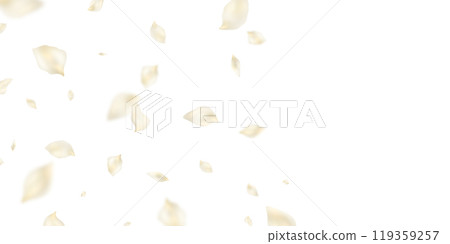 Beautiful flower petals background vector illustration. 119359257