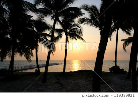 palm sunset ocean Beautiful golden sunset on a wild tropical beach. The sun sets over horizon, view through the silhouette of palm tree. Large waves in the background 119359921