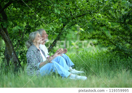 Portrait of senior couple sitting on the grass in the park 119359995