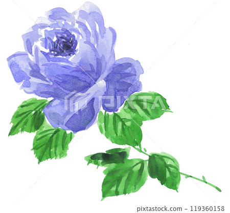 Blue rose painted in watercolor 241017pix7 Blue rose painted in watercolor 241017pix7 119360158