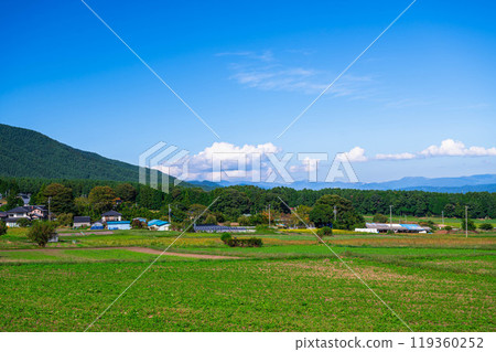Idyllic autumn rural scenery in Minowa Town Idyllic autumn rural scenery in Minowa Town 119360252