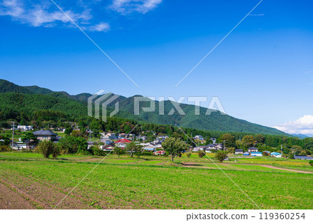 Idyllic autumn rural scenery in Minowa Town 119360254