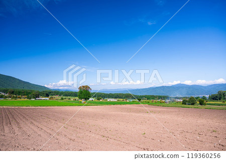 上伊那郡三之輪町週邊的農田與自然景觀 119360256