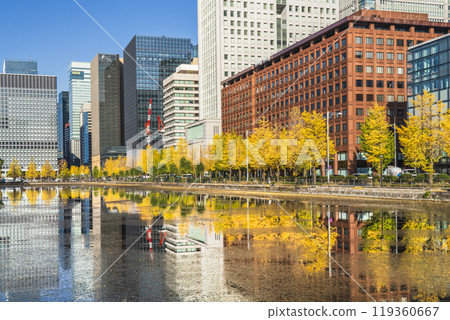 東京秋季城市景觀：丸之內辦公大樓倒映在水中，日比谷街沿線的銀杏樹[東京千代田區] 119360667