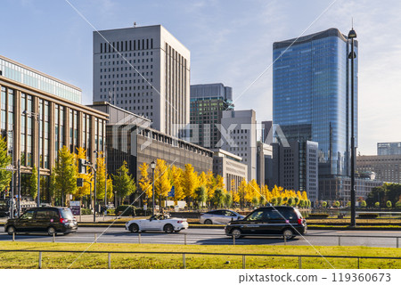Autumn Tokyo cityscape: Ginkgo trees along Hibiya Street and skyscrapers in Marunouchi [Chiyoda Ward, Tokyo] 119360673