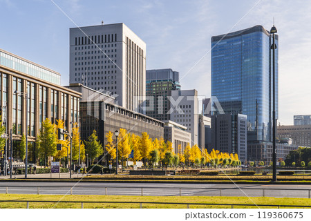 Autumn Tokyo cityscape: Ginkgo trees along Hibiya Street and skyscrapers in Marunouchi [Chiyoda Ward, Tokyo] 119360675