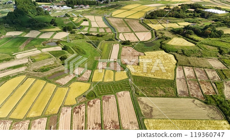 Autumn rice terrace scenery aerial view 119360747