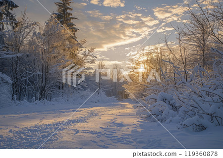 Winter landscape in the forest. Generative AI 119360878