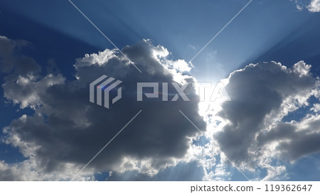 城市的大海和天空 119362647