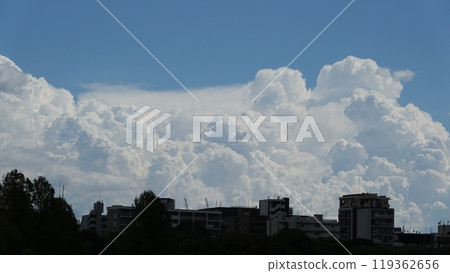 城市的大海和天空 119362656