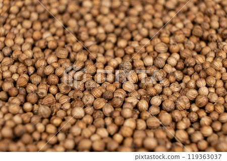 Macro Grains Coriander Natural Spice Selective Focus Macro Grains Coriander Natural Spice Selective Focus 119363037
