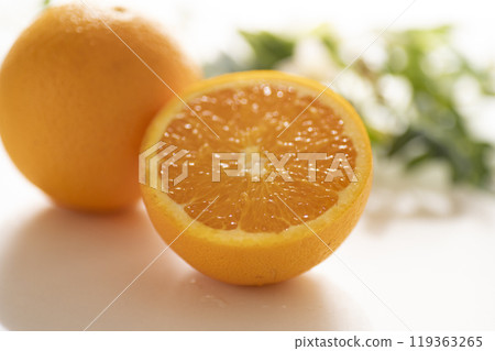 Navel Orange Navel Orange 119363265