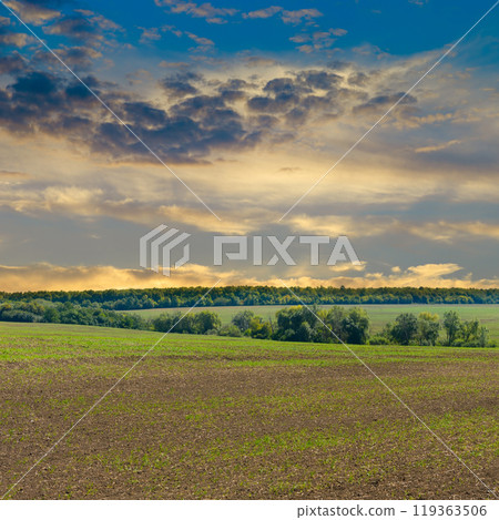 Harvested Fields and meadows landscape . country scenery at autumn sunset. Harvested Fields and meadows landscape . country scenery at autumn sunset. 119363506