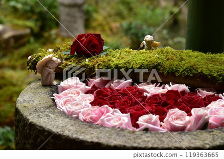 粉紅色和紅色玫瑰花洗手液 粉紅色和紅色玫瑰花洗手液 119363665