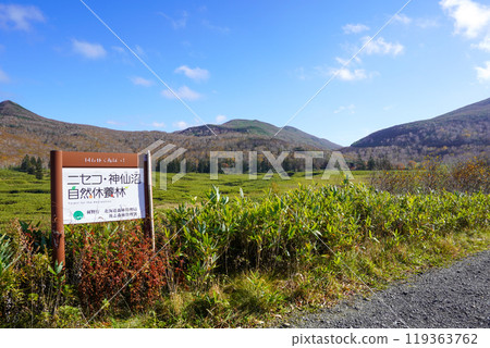 大谷地(新雪谷/新仙沼自然休養林) 大谷地(新雪谷/新仙沼自然休養林) 119363762