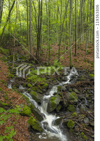 Starohutiansky waterfall near Nova Bana and Zarnovica, Pohronsky Inovec mountains, Slovakia 119363806