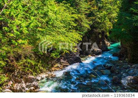 [Nagano Prefecture] Atera Valley, near Rokudan Falls 119363834