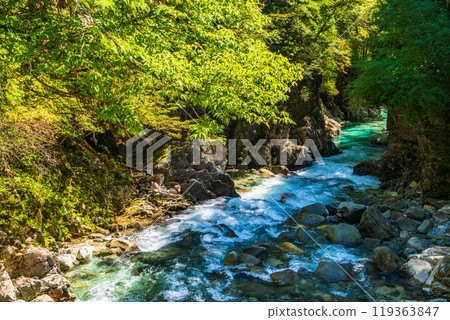 [Nagano Prefecture] Atera Valley, near Rokudan Falls 119363847