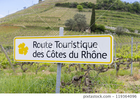 Typical vineyard with Wine road (Route Touristique des Cotes du Rhone) near Tain l'Hermitage, Cotes du Rhone, France 119364096