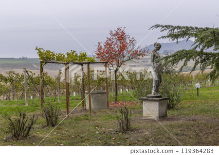 Typical vineyard near Castello di Razzano and Alfiano Natta, Barolo wine region, province of Cuneo, region of Piedmont, Italy 119364283