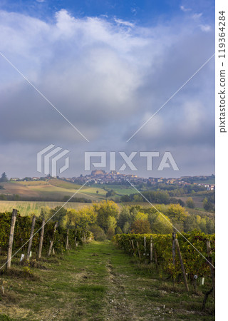 Typical vineyard near Cascina Montalbera and Montemagno Monferrato, Castagnole Monferrato, Piedmont, Italy Typical vineyard near Cascina Montalbera and Montemagno Monferrato, Castagnole Monferrato, Piedmont, Italy 119364284