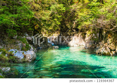 [Nagano Prefecture] Atera Valley, near Rokudan Falls 119364367