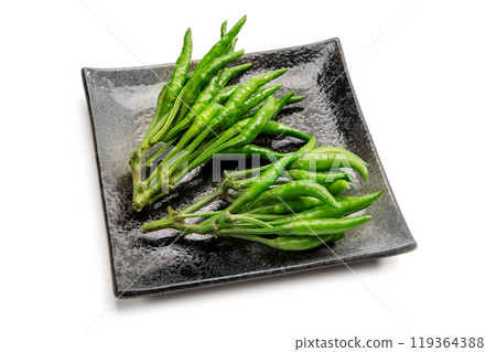 Eight-flowered pepper 119364388