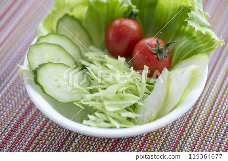 配菜沙拉 119364677