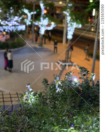 The Christmas lights look like they have fireflies in them. 119365090