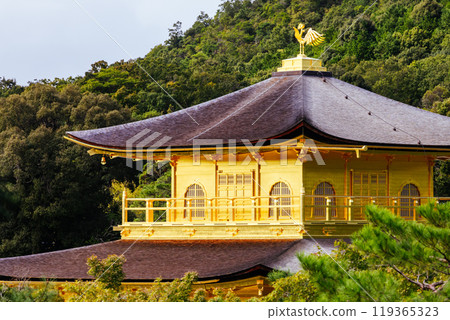 Kinkakuji Temple (The Golden Pavilion) in Kyoto, Japan 119365323