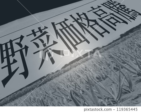 Illustration of a newspaper article about rising vegetable prices Illustration of a newspaper article about rising vegetable prices 119365445