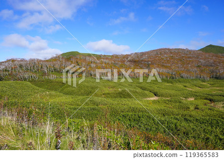 Oyachi (Niseko Shinsen-numa Natural Recreation Forest) 119365583