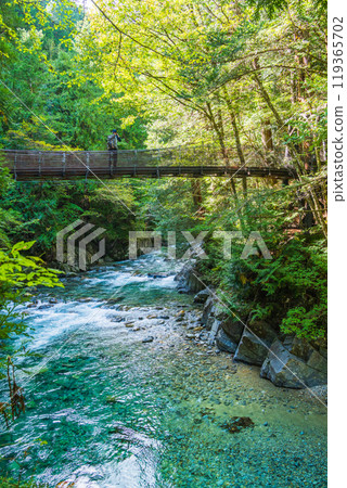 [Nagano Prefecture] Akahiko Suspension Bridge in Atera Valley 119365702