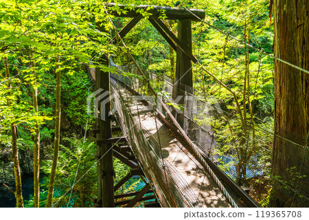 [長野縣] Atera Valley Akahiko吊橋 119365708