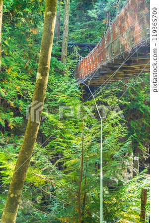 [長野縣] Atera Valley Akahiko吊橋 119365709