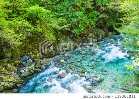 [Nagano Prefecture] Atera Valley, near Akahiko Suspension Bridge 119365811