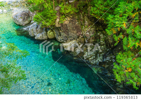 [Nagano Prefecture] Atera Valley, near Akahiko Suspension Bridge 119365813