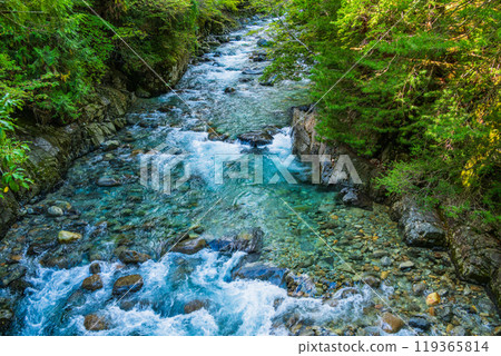 [Nagano Prefecture] Atera Valley, near Akahiko Suspension Bridge 119365814