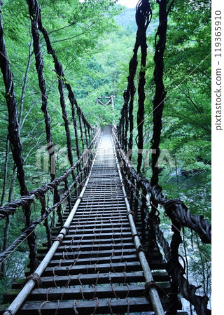 Okuiya, Kazura Bridge, Mountain Stream 119365910