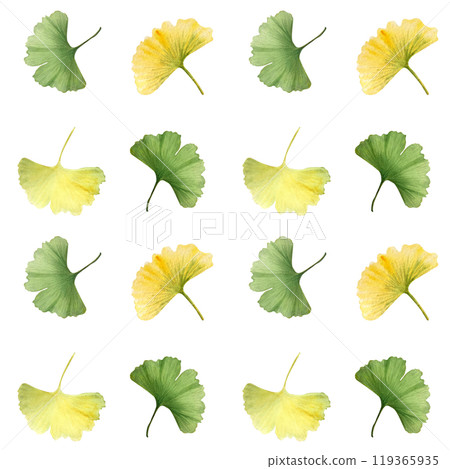 Three ginkgo biloba, maidenhair tree vibrant green and yellow leaves seamless pattern. High quality hand-painted detailed textured watercolor perfect for textile, wrapping paper, packages, supplements 119365935